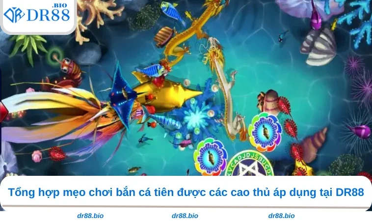 Bắn Cá Tiên - Kinh Nghiệm Tiêu Diệt Con Mồi Từ Cao Thủ DR88 2 Tổng hợp mẹo chơi bắn cá tiên được các cao thủ áp dụng tại DR88