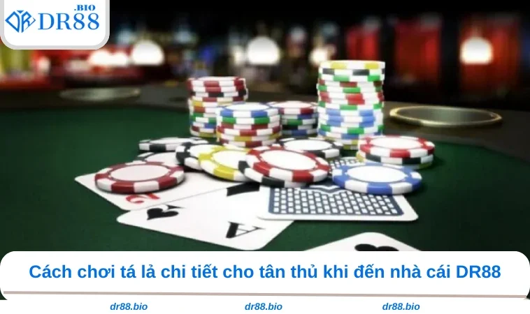 Cách Chơi Tá Lả - Trăm Trận Trăm Thắng, Tiền Về Liền Tay 3 Cách chơi tá lả chi tiết cho tân thủ khi đến nhà cái DR88