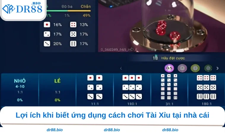Cách Chơi Tài Xỉu - Bỏ Túi Kinh Nghiệm Khi Cá Cược Tại DR88 1 Lợi ích khi biết ứng dụng cách chơi Tài Xỉu tại nhà cái