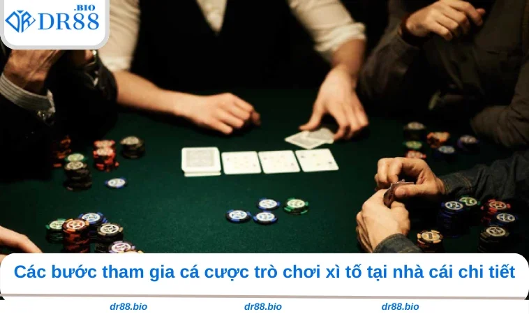 Cách Chơi Xì Tố - Bí Kíp Đặt Cược Tại Nhà Cái DR88 3 Các bước tham gia cá cược trò chơi xì tố tại nhà cái chi tiết