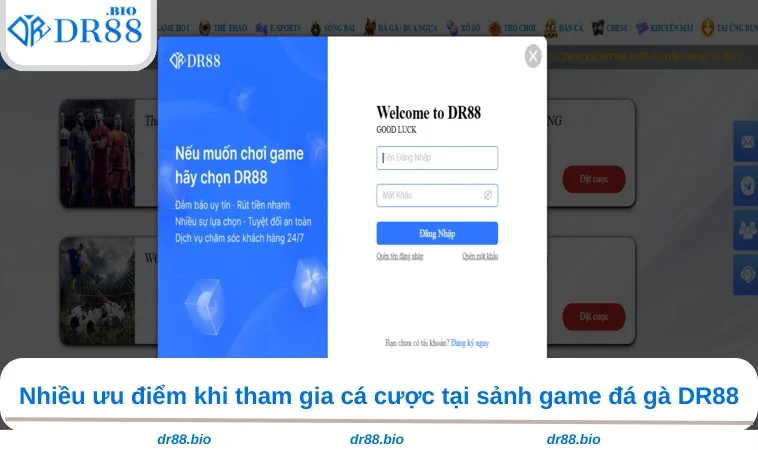 Đá Gà DR88 2 Nhiều ưu điểm khi tham gia cá cược tại sảnh game đá gà DR88