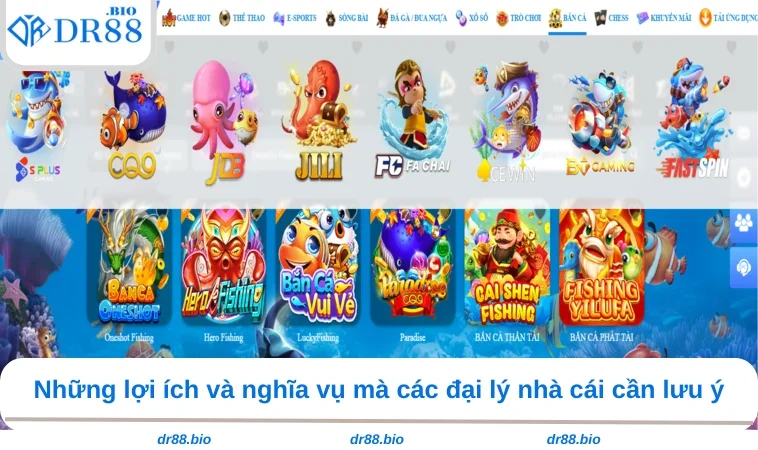 Đại Lý DR88 2 Những lợi ích và nghĩa vụ mà các đại lý nhà cái cần lưu ý