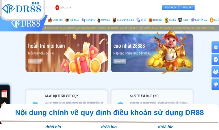 Điều Khoản Sử Dụng DR88 1 Nội dung chính về quy định điều khoản sử dụng DR88