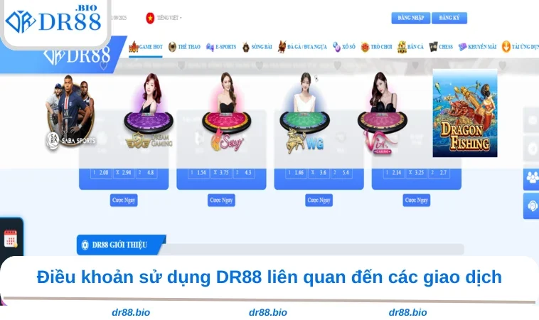 Điều Khoản Sử Dụng DR88 2 Điều khoản sử dụng DR88 liên quan đến các giao dịch
