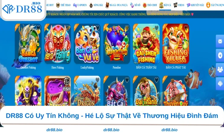 DR88 Có Uy Tín Không