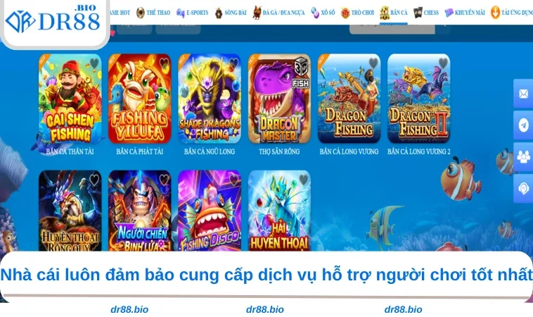 DR88 Có Uy Tín Không - Hé Lộ Sự Thật Về Thương Hiệu Đình Đám 3 Nhà cái luôn đảm bảo cung cấp dịch vụ hỗ trợ người chơi tốt nhất