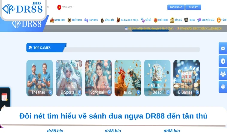 Đua Ngựa DR88 1 Đôi nét tìm hiểu về sảnh đua ngựa DR88 đến tân thủ