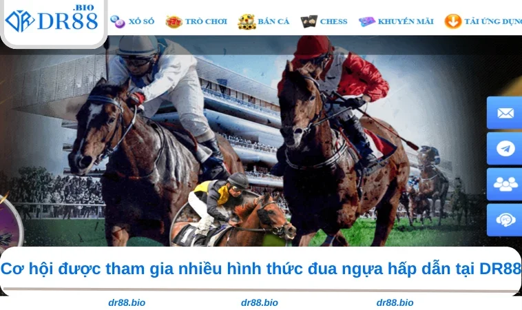 Đua Ngựa DR88 2 Cơ hội được tham gia nhiều hình thức đua ngựa hấp dẫn tại DR88