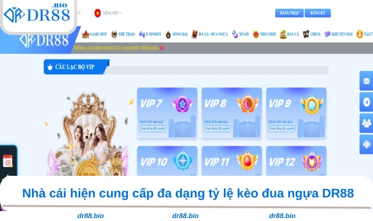 Đua Ngựa DR88 3 Nhà cái hiện cung cấp đa dạng tỷ lệ kèo đua ngựa DR88