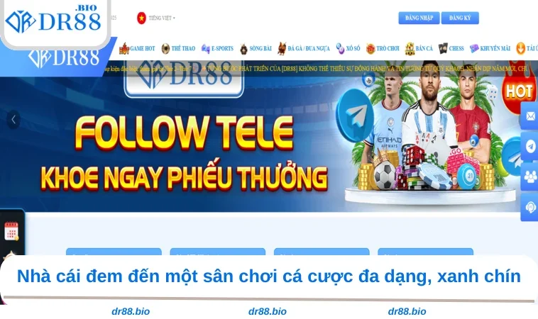 Giới thiệu DR88 3 Nhà cái đem đến một sân chơi cá cược đa dạng, xanh chín