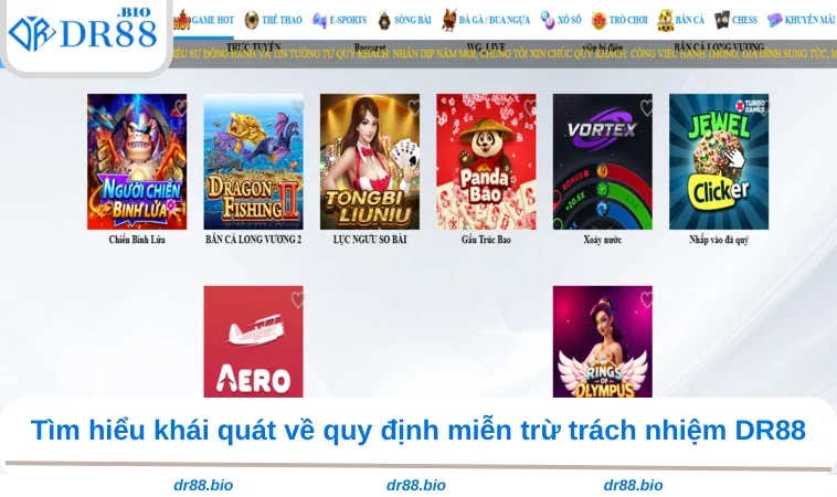 Miễn Trừ Trách Nhiệm DR88 1 Tìm hiểu khái quát về quy định miễn trừ trách nhiệm DR88