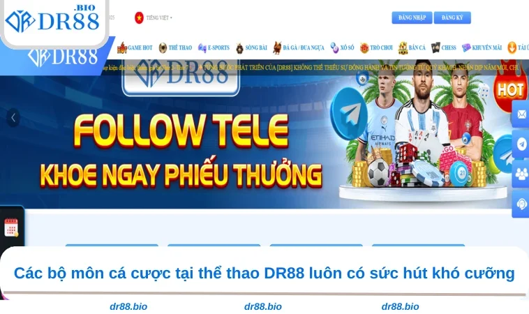 Thể Thao DR88 3 Các bộ môn cá cược tại thể thao DR88 luôn có sức hút khó cưỡng